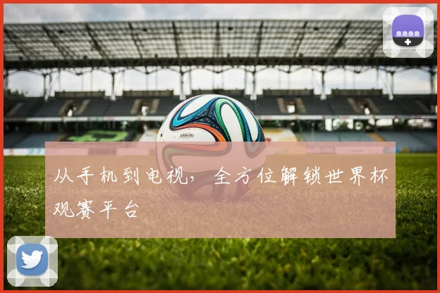 从手机到电视,全方位解锁世界杯观赛平台