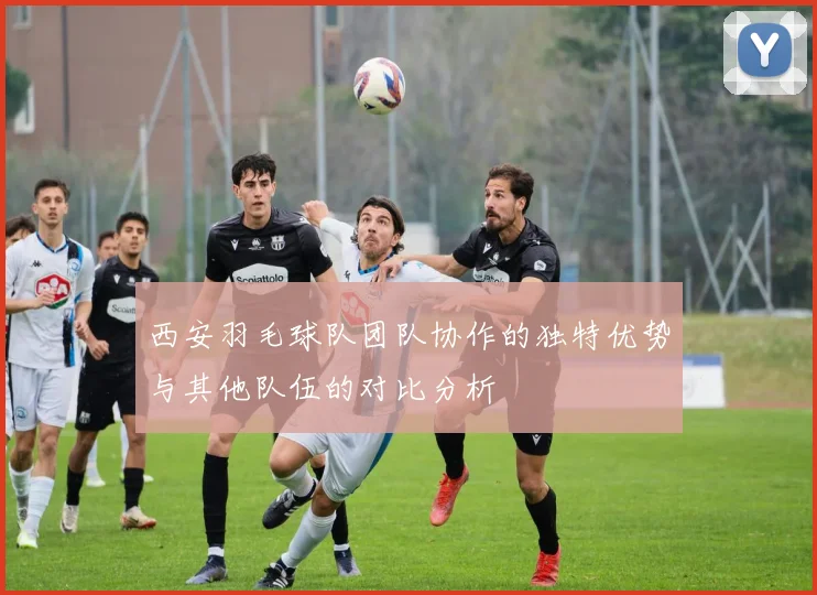 西安羽毛球队团队协作的独特优势与其他队伍的对比分析