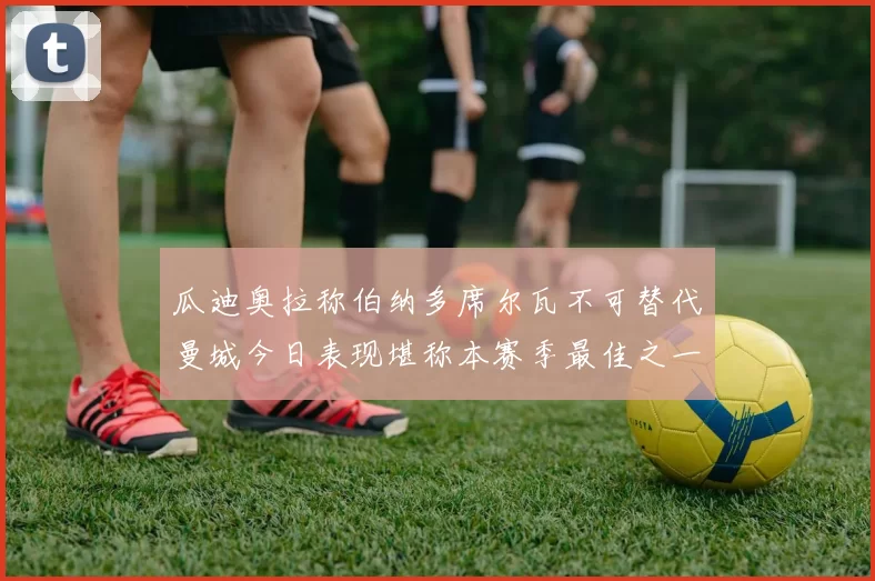 瓜迪奥拉称伯纳多席尔瓦不可替代曼城今日表现堪称本赛季最佳之一