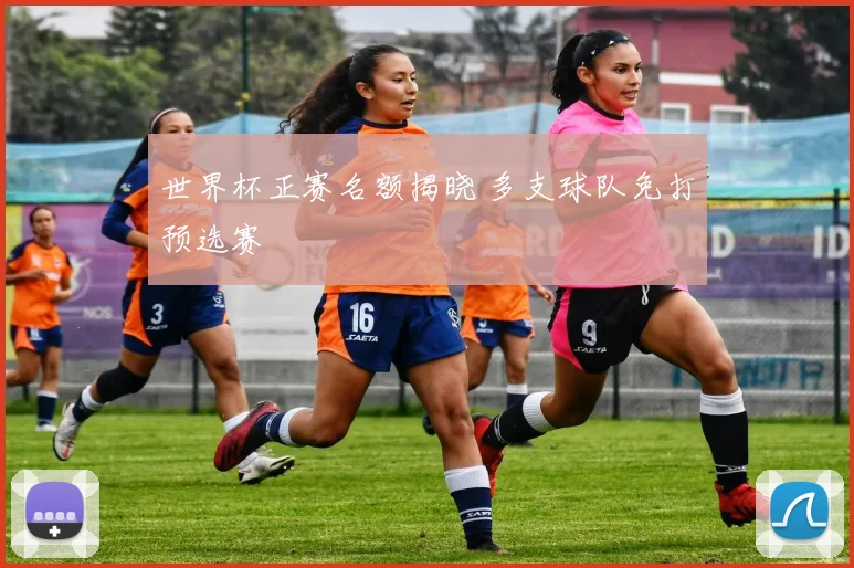 世界杯正赛名额揭晓 多支球队免打预选赛