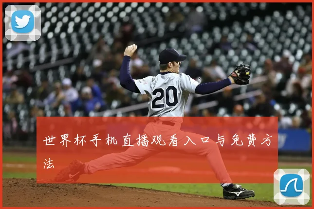 世界杯手机直播观看入口与免费方法