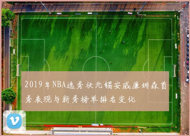 2019年NBA选秀状元锡安威廉姆森首秀表现与新秀榜单排名变化