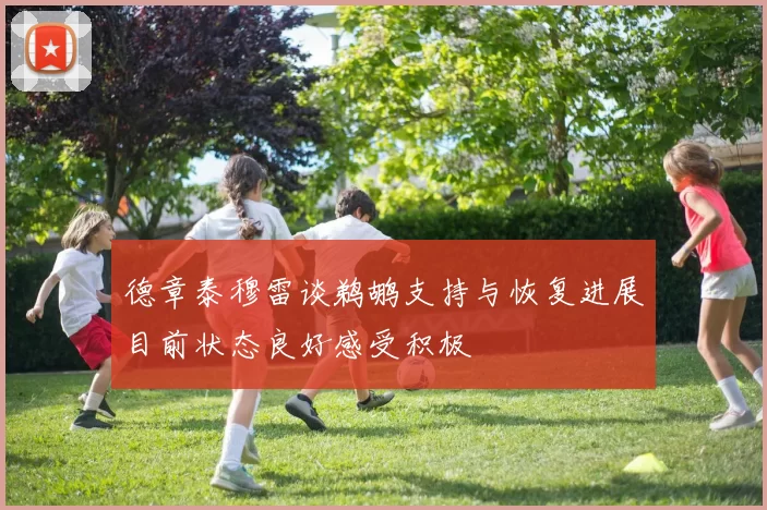 德章泰穆雷谈鹈鹕支持与恢复进展目前状态良好感受积极