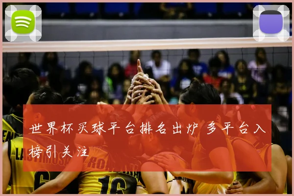 世界杯买球平台排名出炉 多平台入榜引关注
