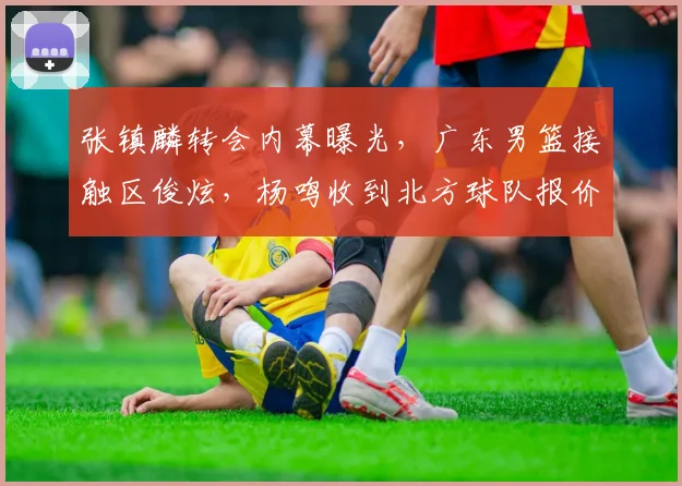 张镇麟转会内幕曝光,广东男篮接触区俊炫,杨鸣收到北方球队报价